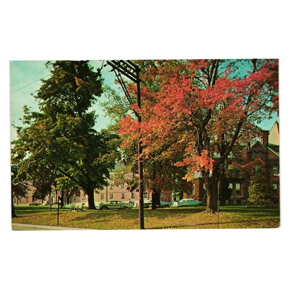Modern-Ad Other - Vintage Postcard Lock Haven State College PA Fall Landscape Classic Cars Schools